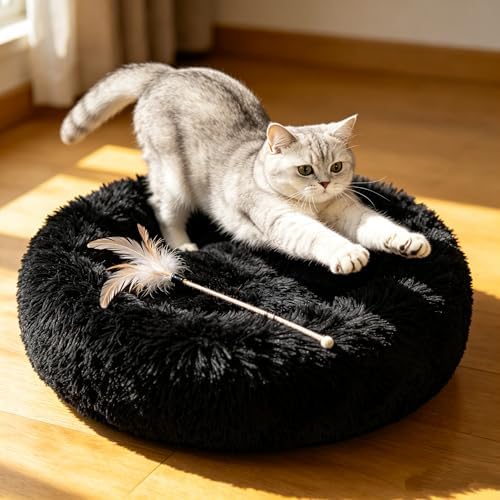 Cat Beds for Indoor Cats - Cat Bed Washable 24 inches, Dog Beds for Small Medium Dogs, Anti Anxiety Round Fluffy Plush Faux Fur Cat Bed, Thick Bottom (Dark, Large 24" L x 24" W)