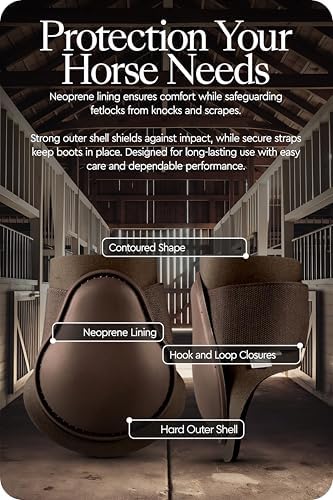 HORZE Chicago Rear Fetlock Boots for Horses, Horse Tendon Boots