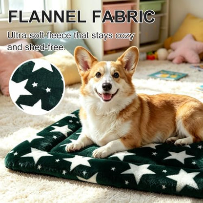 Dog Bed Mat, Reversible Dog Crate Pad with Washable Kennel Mat and Soft Foam, Pet Bed for Dogs & Cats, for Crates Carriers & Travel (Big&Small Stars Green, 24" L*18" W*1.5" Th)