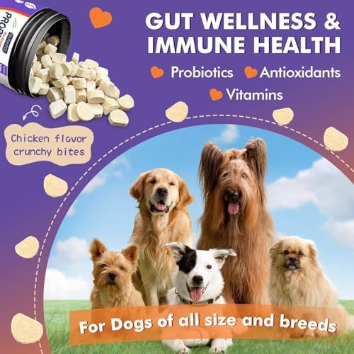 DRFOSTER Probiotics & Digestive Enzymes for Dogs, Freeze-Dried, 120 Bites
