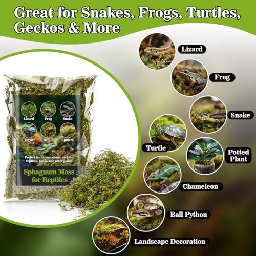Sukh Sphagnum Moss for Reptiles - 5.5 OZ Reptile Peat Moss Terrarium Bedding Reptiles Lizard Substrate for Reptile Tank, Snake, Leopard Gecko, Ball Python, Crested Gecko, Turtle, Frog, Hamster