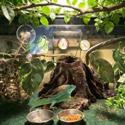 5 PCS Tank Accessories for Bearded Dragon Include Resin Hollow Tree Root Reptile Habitat Hideout Decor Hanging Jungle Vines Flexible Leaves Climbing Decorations for Lizard Gecko Chameleon Spider