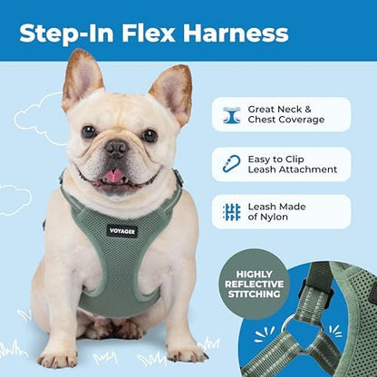 Voyager Step-in Flex Adjustable Dog Harness - Moss Green, X-Small