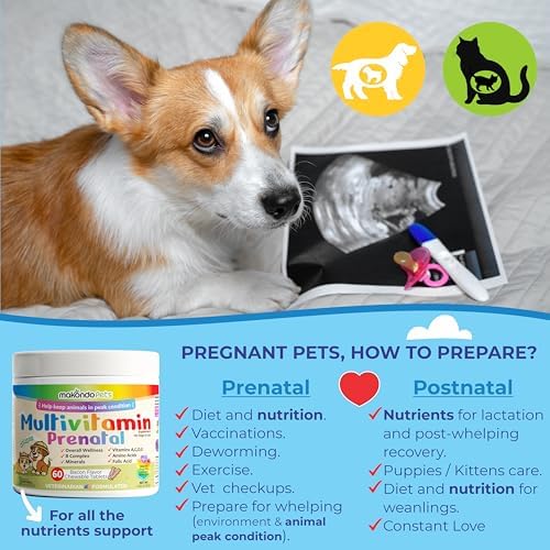 Dog Prenatal Vitamins – Multivitamin for Dogs and Cats 60 Tabs Supplement