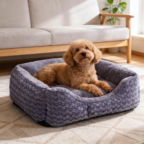 Plush Dog Bed Medium, Dark Grey, Machine Washable, Dog Beds Sofa with Pillow Support, 25x21Inch, Corn Kernel Design, Non-Slip Bottom, Thick PP Cotton Padding