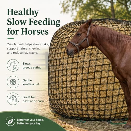 6x6 ft Round Bale Hay Net for Horses & Livestock - Slow Feeder Hay Net with 2 inch Mesh, Knotless Design, Durable Heavy-Duty (6 * 6 ft)