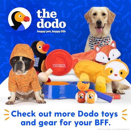 The Dodo Collapsible Dog Bowl, Red; Travel Dog Bowl That Folds Flat and Clips with Carabiner for Easy Storage and Carry