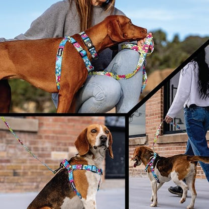 Wolfgang Venture Dog Harness LazyDaisy Print XL