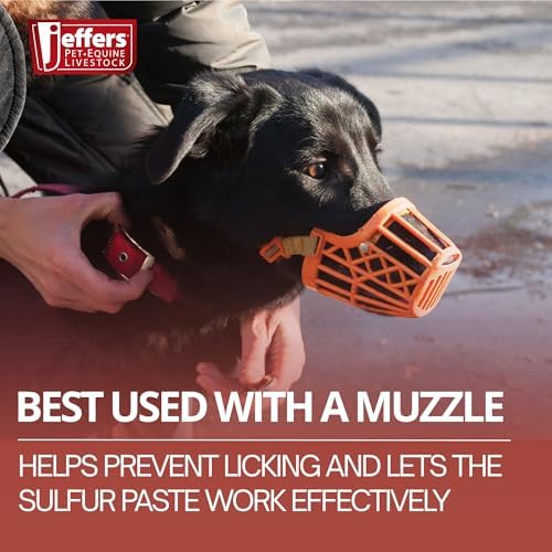 Jeffers Super Sulfur Natural Healing Paste for Dogs, Cats & Horses 8 oz – Wound Care, Skin & Coat Support for Animals, Soothes Itching & Inflammation, Dry Rough Flaky Skin, Hot Spots, Paw, Hoof Care