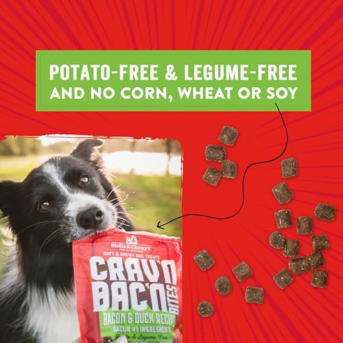 Stella & Chewy's Training Dog Treats - Crav'n Bac'n Soft Bacon & Duck Bites - Premium USA Made - Low Calorie Rewards - 8.25oz