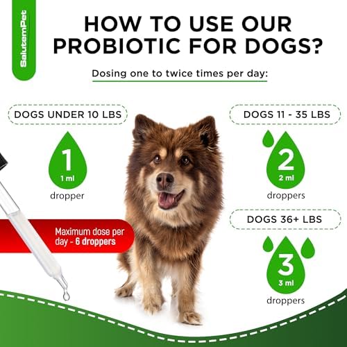 Probiotics for Dogs | Liquid Probiotics for Dogs and Puppies | Prebiotic & Digestive Enzymes | Gut Flora Support and Digestive Care | Bacon Taste | 2 Oz