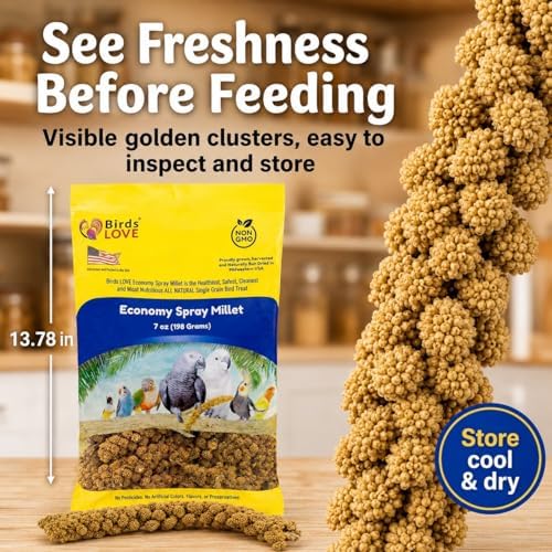 Birds LOVE® Economy Spray Millet for Birds, 7 oz, GMO-Free Natural Bird Treat, Stem-Reduced Millet Tops, USA Grown Spray Millet for Parakeets, Cockatiels, Lovebirds, Finches, Canaries -Pack of 4