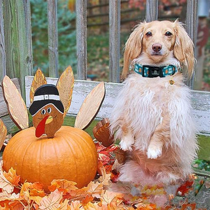 Lionheart glory Thanksgiving Dog Collar-Turkey Fall Cute Dog Collars with Plastic Buckle Duty Soft Adjustable Collar for Small Dogs Girls Boys Collars Party Pet Gift