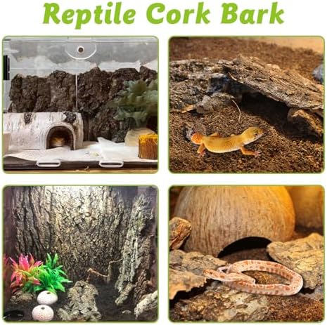 Reptile Cork Bark Bulk 1 Lb Reptile Bark Bedding Natural Flat Cork Wood Pieces Terrarium Substrate Tank Supplies for Bearded Dragon Snake Spiders Hermit Crabs Geckos Tortoise