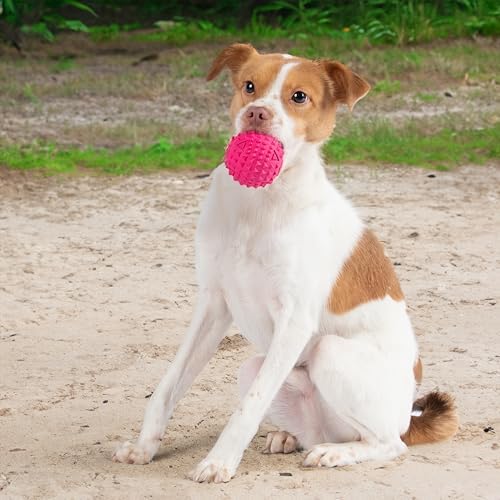 Best Pet Supplies Squeaky Dog Toys with Soft Durable Fabric for Small, Medium and Large Pets Interactive Toy for Indoor Play, Supports Active Biting and Play - Fuchsia, Large