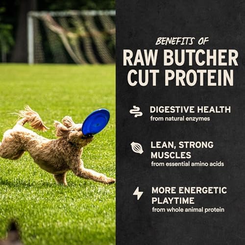 Vital Essentials Freeze Dried Dog Treats | Beef Liver, Single Ingredient | Premium Quality | Grain Free Training Treats for Dogs, 2.1 oz Bag (Pack of 2)