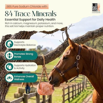 Himalayan Pink Salt Lick On Rope 6lbs for Horses, Deer, Goats & Livestock, Natural Mineral Salt Block with 84 Trace Minerals, Hanging Horse Salt Lick for Farm Animals & Wildlife (Pack of 3)