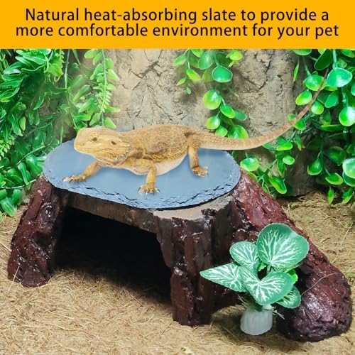 Bearded Dragon Basking Platform,Reptile Hide Cave with Basking Rock