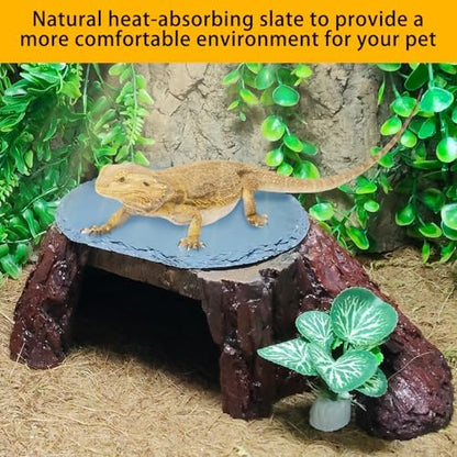 Bearded Dragon Basking Platform,Reptile Hide Cave with Basking Rock