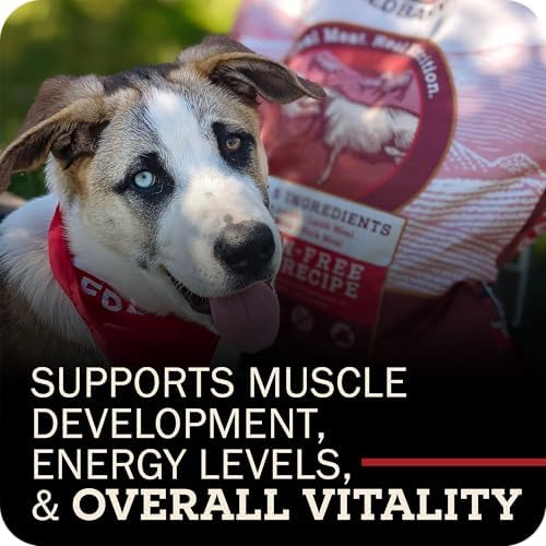 Redbarn Grain-Free Adult Dry Dog Food Kibble - Land Beef Recipe - Made in USA No Chicken Recipe with Functional Ingredients to Support Healthy Heart, Skin, Coat, Immunity & Digestion - 4lb