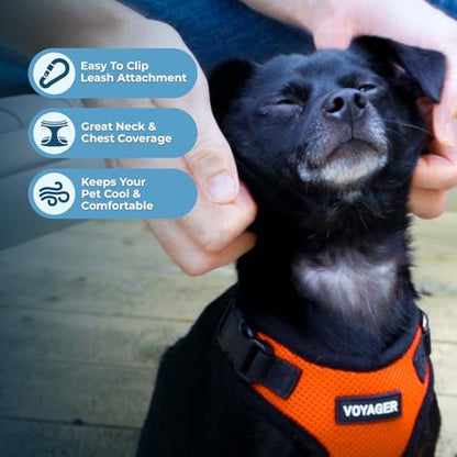 Best Pet Supplies Voyager Step-in Lock Pet Harness w Reflective Pet Leash Combo Set with Neoprene Handle 5ft - Supports Small, Medium and Large Breed Puppies/Cats - Orange/Black Trim, XS