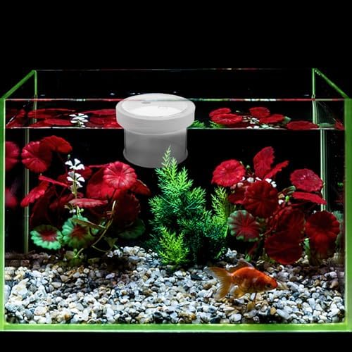 Ipetboom Fish Tank Separate Box Small Aquarium Breeding Box Floating Fish Fry Holder for Aquarium Isolation and Breeding 3.94X3.94X3.15 Inches