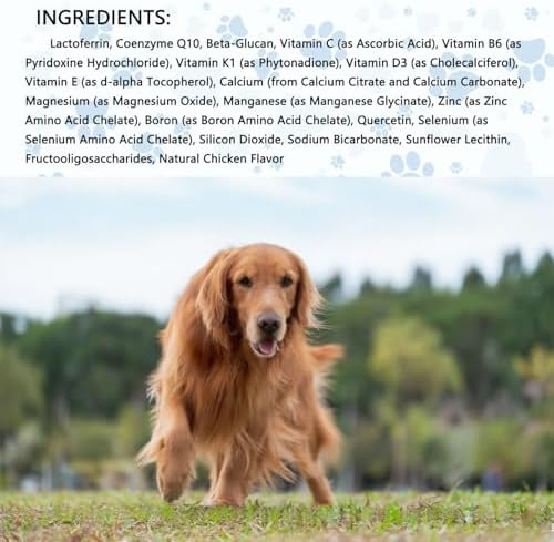 Lactoferrin for Dogs - 4oz Chicken Flavor, Supports Canine Bone, Joint & Immune Health, Premium Dog Nutritional Supplement
