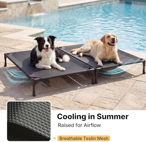 Veehoo Cooling Elevated Dog Bed, Outdoor Raised Dog Bed for Two Dogs