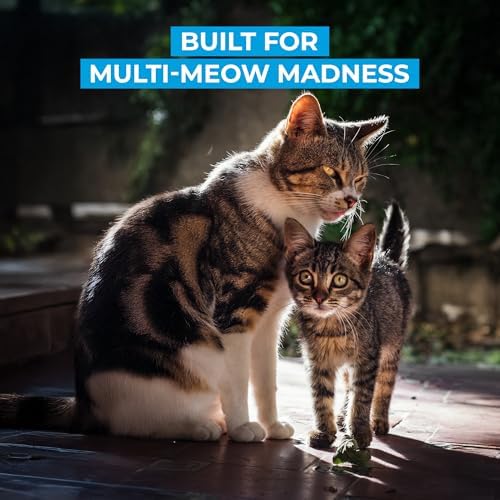 Cat Litter Deodorizer – Pet Safe Odor Eliminator & Housebreaking Supplies for Cats, Kittens, & Small Pets – Natural, Unscented, Non Toxic, Low Dust, 1 lb, by HugsandTails