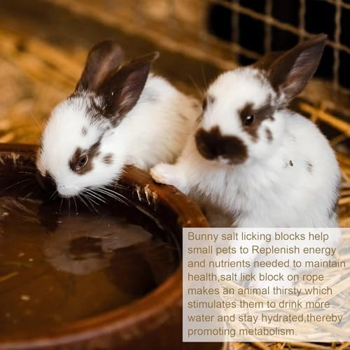 Hamiledyi 16 PCS Rabbit Salt Lick Block Natural Small Animal Himalayan Salt Lick Chew Toys with Hanging Rope Rat Mineral Block Chew Treat Supplies for Bunny Guinea Pig Chinchilla Ferret Hametsr