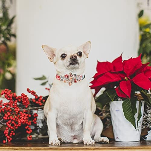 Elegant Little Tail Vintage Floral Dog Collar with Comfortable Adjustable Sizes for Small to Large Dogs