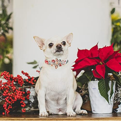 Elegant Little Tail Vintage Floral Dog Collar with Comfortable Adjustable Sizes for Small to Large Dogs