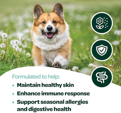 Dog Allergy Chews with Probiotics | Seasonal Allergy Chews for Dogs with Wild Alaskan Salmon Oil & Colostrum | Environmental Dog Allergy Support | NASC Certified & Made in the USA | 60 Chews