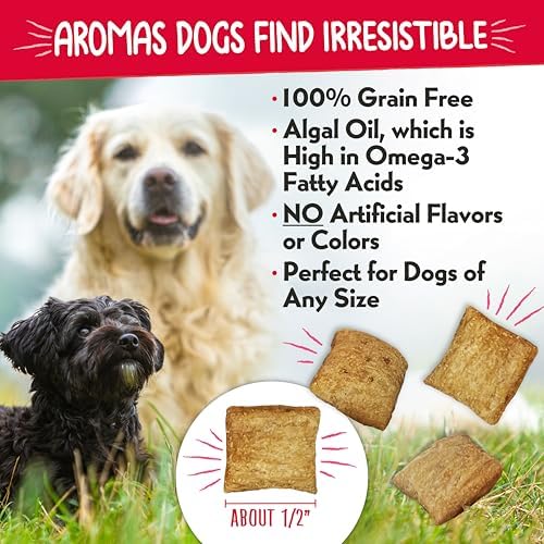 Charlee Bear Nuggets Strawbeary Swirl Skin & Coat Dog Treats, 6 oz