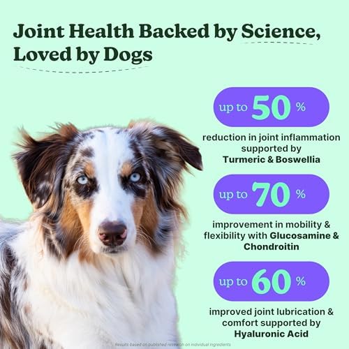 Dog Hip & Joint Chews – Advanced Joint Support Supplement for Dogs, Chicken Flavor with Glucosamine, Chondroitin & MSM, Supports Mobility, Flexibility & Comfort, 120 Count