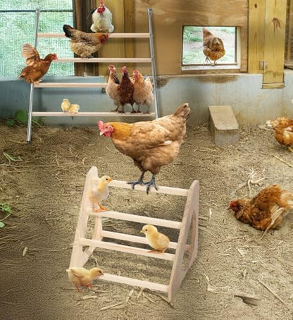 PETSFIT Baby Chick Roosting Bar, Anti-Rotation, Solid Wood, for Brooder