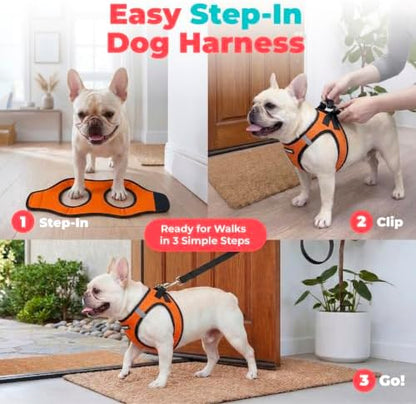Best Pet Supplies Voyager Step-in Air Harness - All Weather Mesh, Reflective, No Pull Harness for Dogs, Cats - Secure with Hook & Loop Fastener, Buckle, Double D-Rings - Orange/Black Trim, XXS