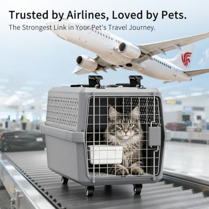 RIZZARI Hard-Sided Elevated Carrier: Rolling Pet Crate Ventilated 25 lbs