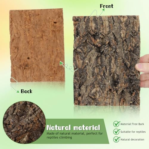 Reptile Bark Decor 2 pcs Natural Tree Bark for Terrarium Hideout and Climbing Surface for Lizards Geckos Snakes 7.67 X 5.82 X 0.39 in
