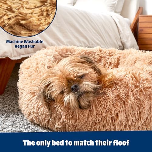 Barkbox Dog Bed Memory Foam Donut Cuddler - Calming Orthopedic Joint Relief Fur Crate Lounger for Pets, Machine Washable + Removable Cover, Waterproof Lining, Includes Toy - Larger Pets - 65lbs