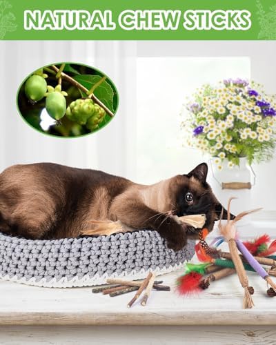 TINDTOP Silvervine Chew Sticks for Cats, 12 Pack Natural Catnip Chew Toys