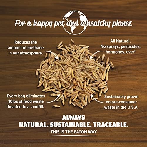 Eaton Pet and Pasture Premium Grubs, USA Grown Dried Black Soldier Fly Larvae, High Calcium Treat for Chickens, Ducks, Wild Birds (1 LB) (Pack of 2)