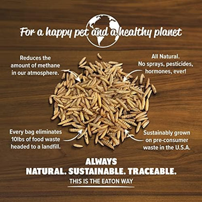 Eaton Pet and Pasture Premium Grubs, USA Grown Dried Black Soldier Fly Larvae, High Calcium Treat for Chickens, Ducks, Wild Birds (1 LB) (Pack of 2)