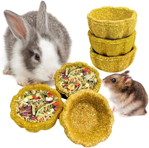 6 Pack Rabbit Chew Toys for Teeth Natural Guinea Pig Toys