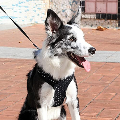 Puppia Dotty Dog Harness Over-the-Head No Pull No Choke Walking Training Adjustable for Small & Medium Dog, Large, Black