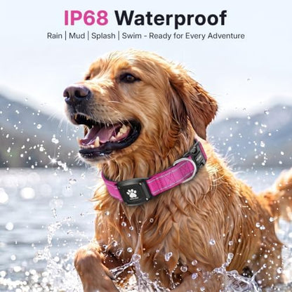 GPS Dog Collar with Tracker, Waterproof, No Monthly Fee, Hot Pink, L