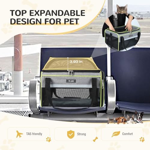 Lekereise Top-Expandable Pet Carrier 18x11x11Inch Delta American United Airline Approved Soft Sided Underseat to 15lbs Travel Carriers for Small Dogs Cats with Locking Safety Zippers Anti-Scratch Mesh