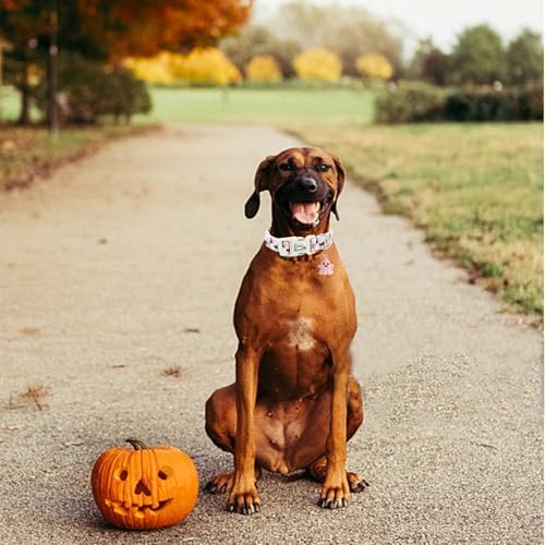 Halloween Dog Collar-Ghost Print Pet Collar Fall Adjustable Cute Lightweight Quick-Release Buckle Collars Holiday Comfortable Cotton Puppy Collars for Medium Dogs