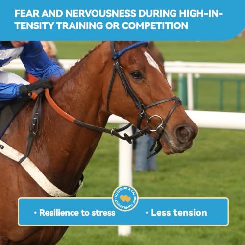 Horse Calming Support Powder – Helps Maintain Relaxed Behavior & Focus | Equine Taurine & Magnesium Blend | 28-Day Supply