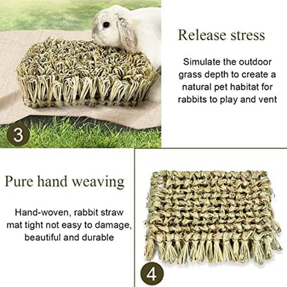 Hamiledyi Rabbit Grass Bed Bunny Natural Woven Foraging Mat Guinea Pig Hay Mat Enrichment Toy Scratch Pad for Chinchilla Squirrel Hedgehog(10.6x7.5x3.5inches)
